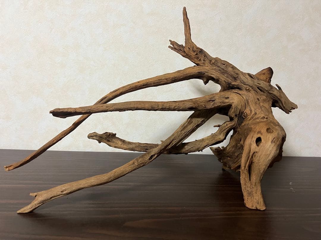 175 流木　ホーンウッド　マシンガンウッド　アクアリウム　ブランチウッド