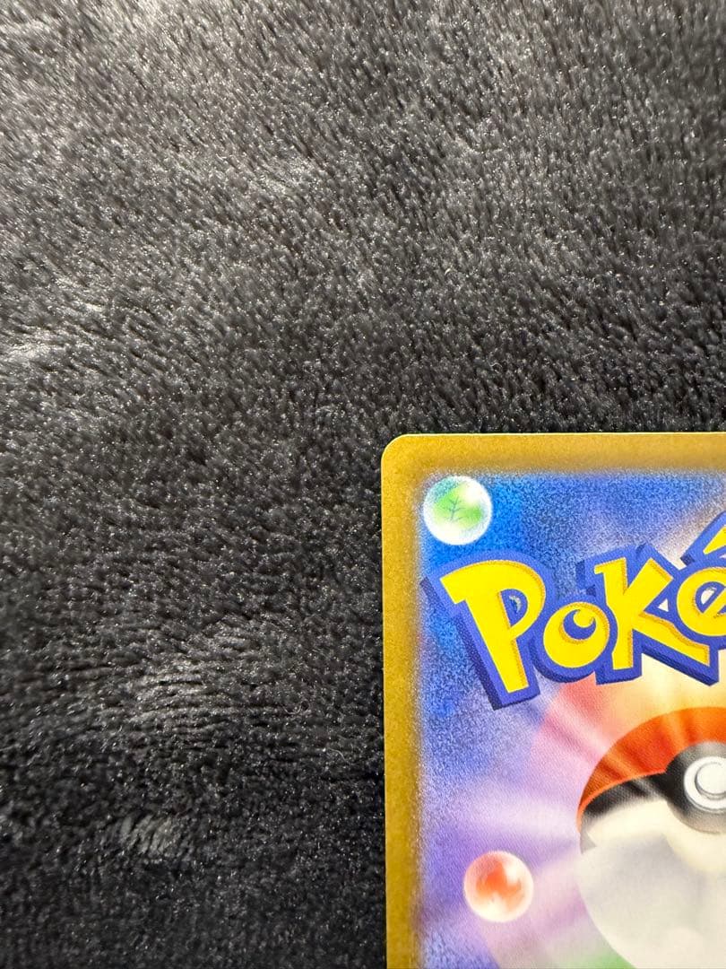 カナリィ SAR 248/193