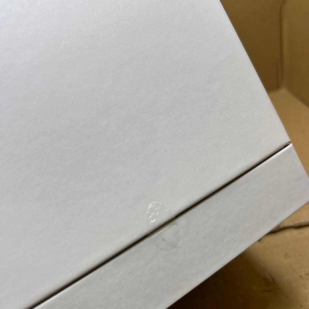 SALONIA サロニア ピュアブライト スチーマー SAL22207BE