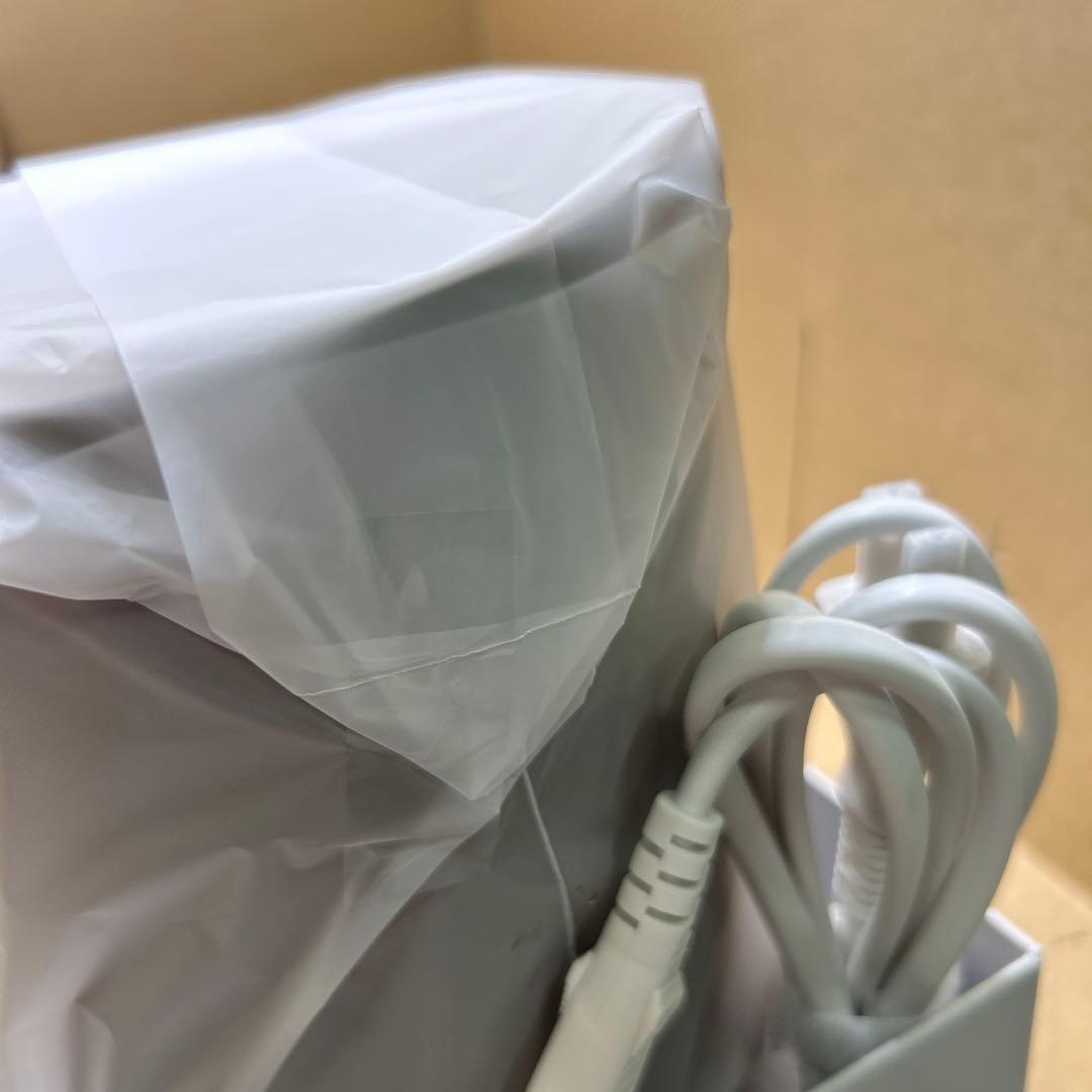 SALONIA サロニア ピュアブライト スチーマー SAL22207BE