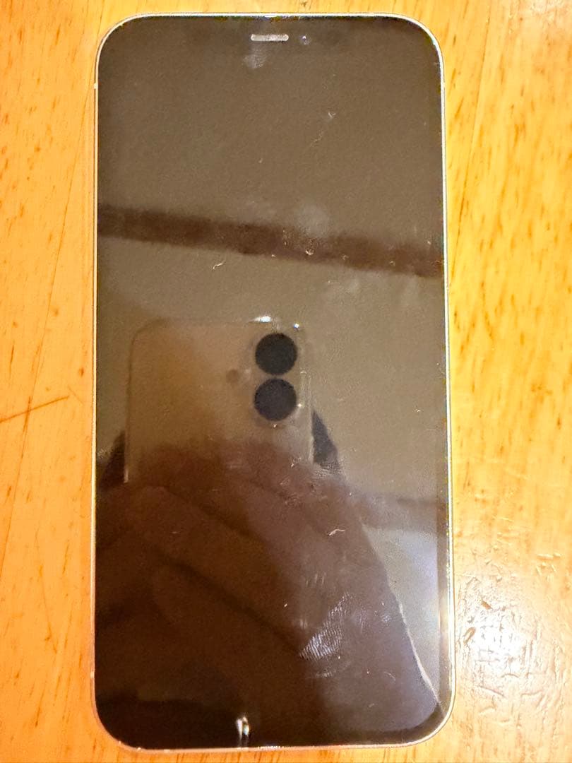 iPhone 12 Pro シルバー 256GB 本体ジャンク