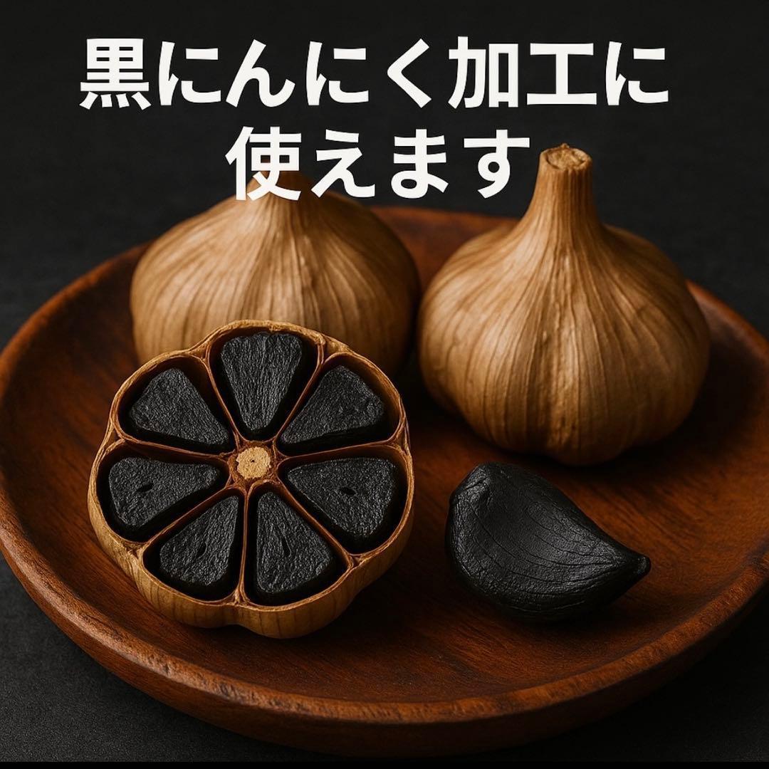 【初売りセール】青森県 福地ホワイト にんにく L 10kg 種にんにく 家庭用