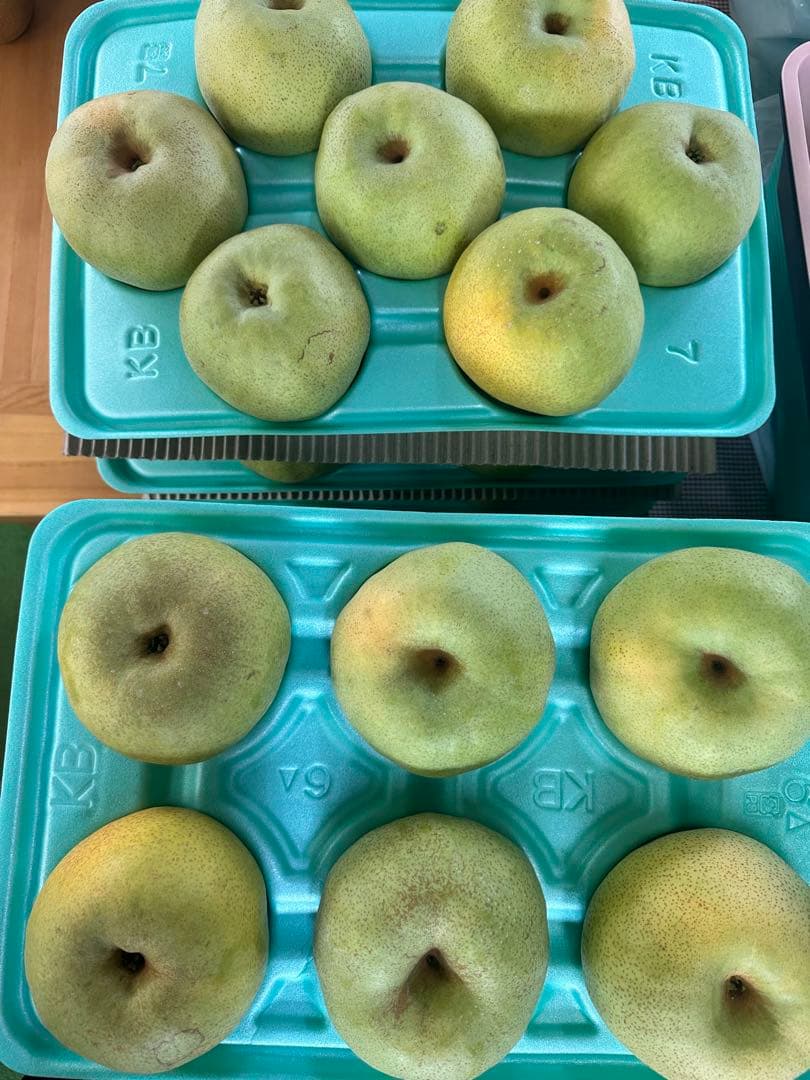 ray　二箱　かおり　梨　6個、7個入り　家庭用　産地直送