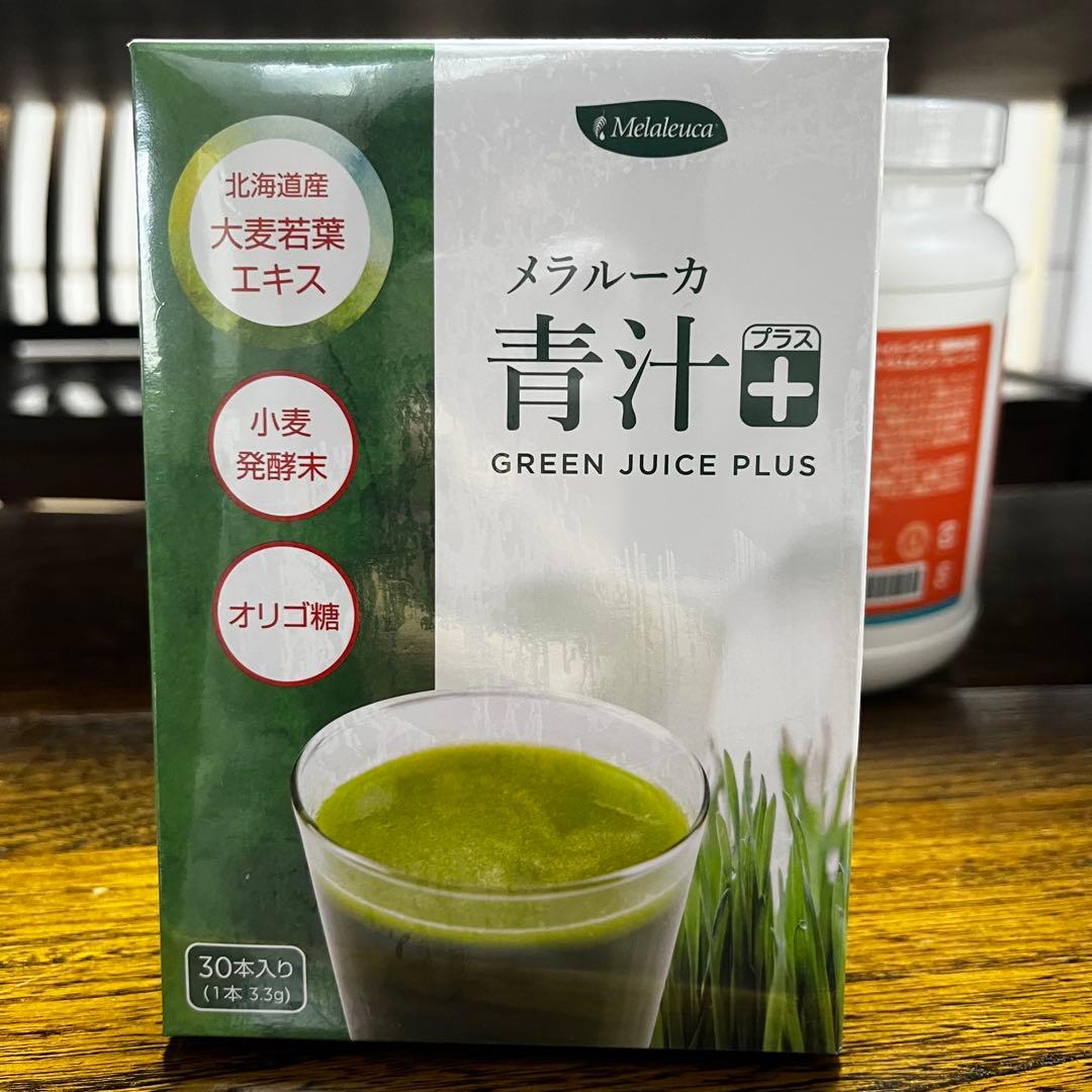 FIBERWISE ファイバーワイズ メラルーカ 青汁＋