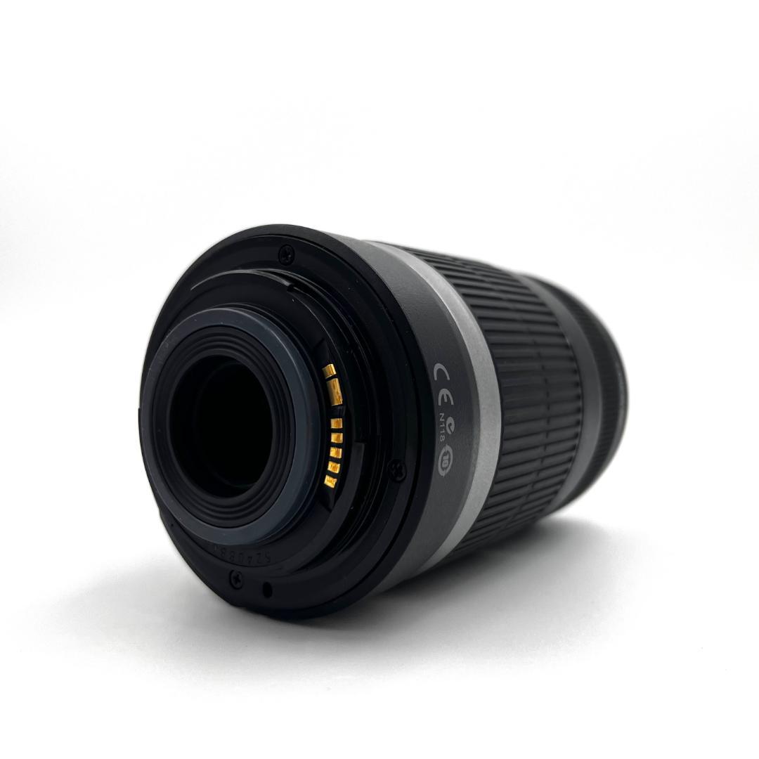 Canon EF-S 55-250mm IS 望遠レンズ 手振れ補正 #307