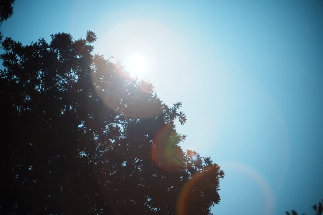 【希少8枚玉】動作◎ Super Takumar 50mm F1.4 296