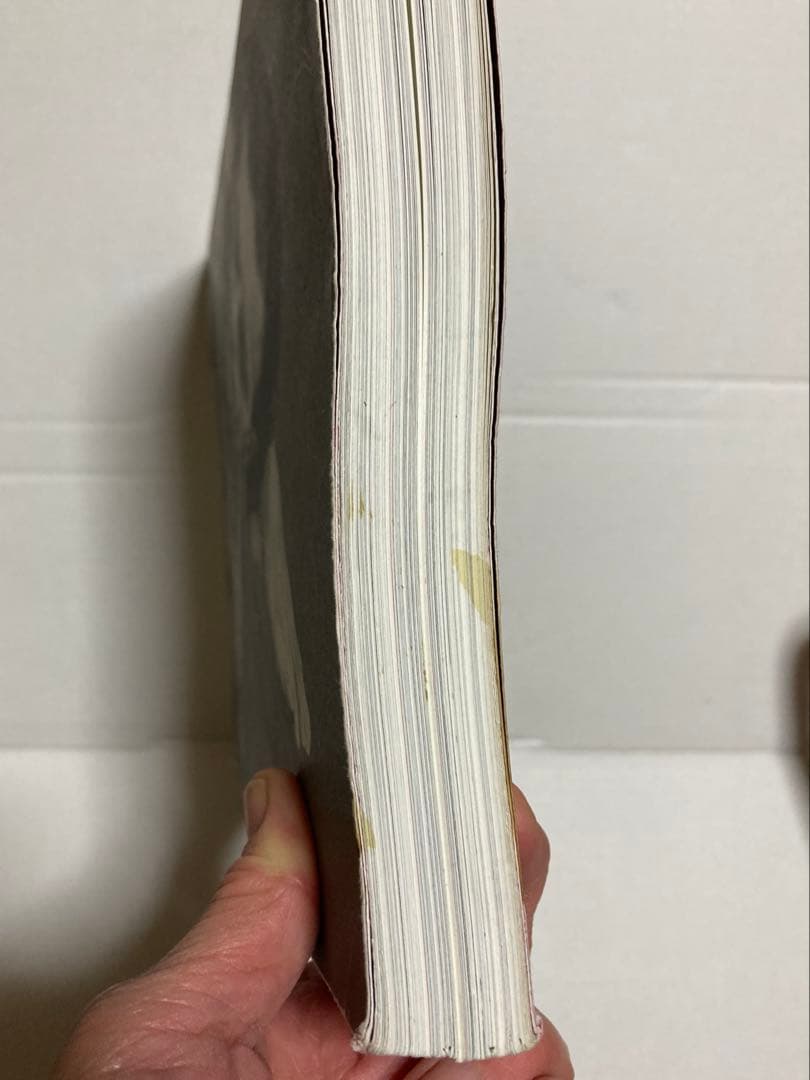 MYSORE STYLE アシュタンガヨガ Ashtangayoga 写真集