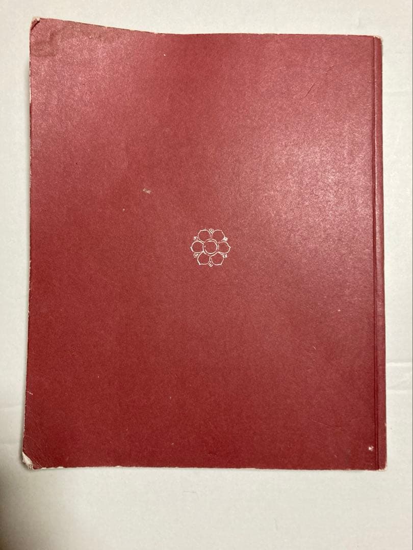 MYSORE STYLE アシュタンガヨガ Ashtangayoga 写真集