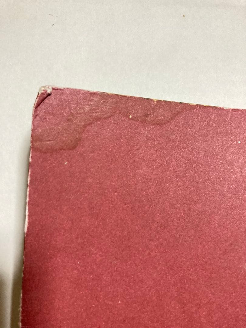 MYSORE STYLE アシュタンガヨガ Ashtangayoga 写真集