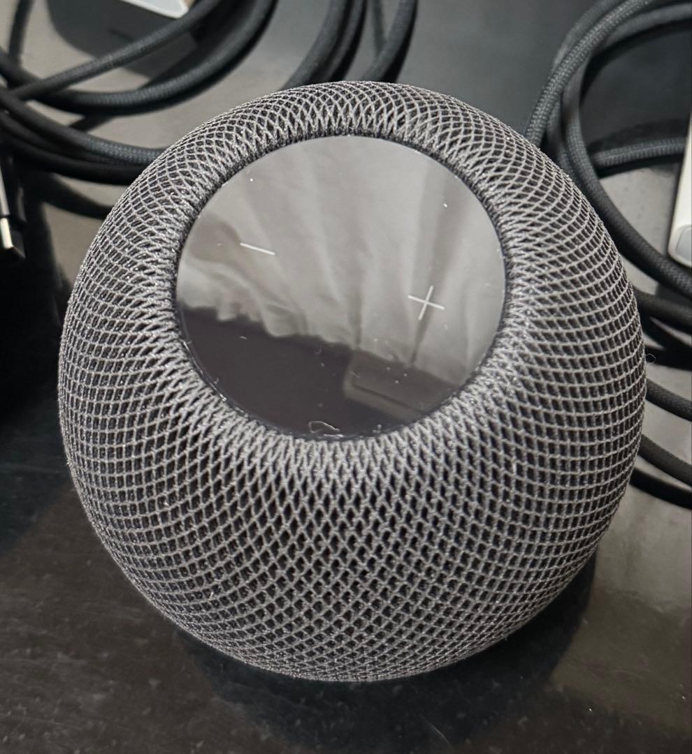 APPLE Pod Mini スペースグレイ 2個セット