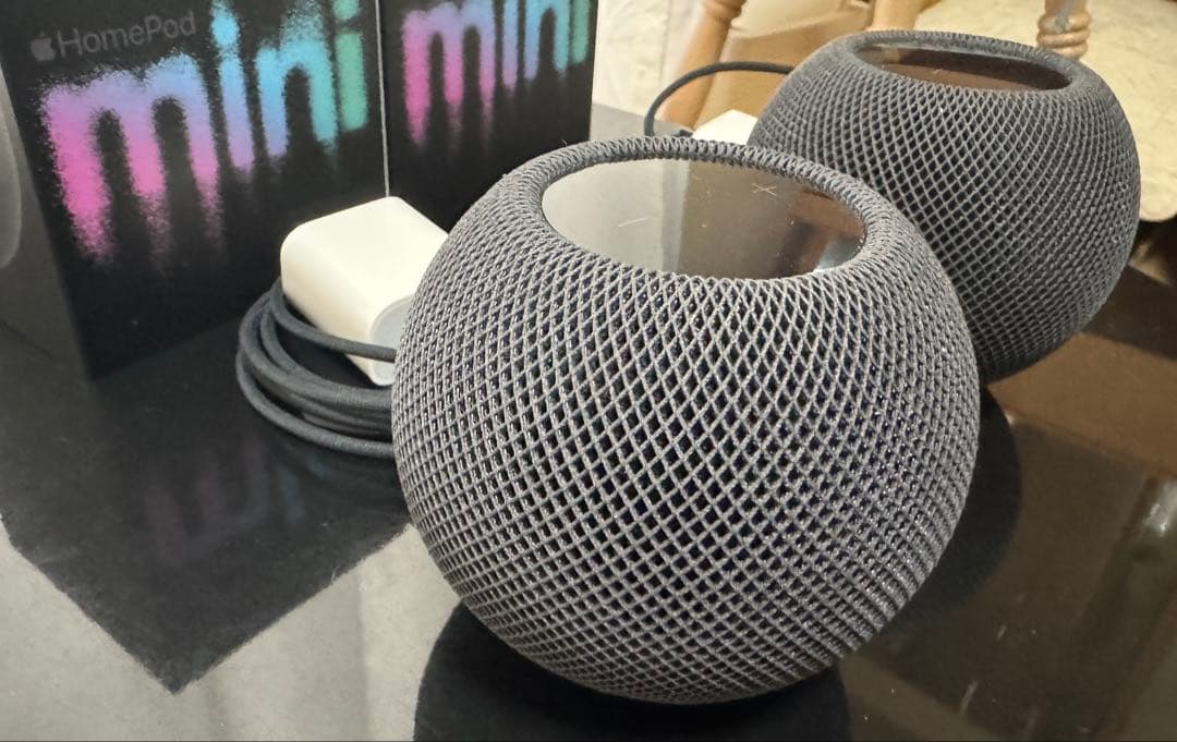 APPLE Pod Mini スペースグレイ 2個セット