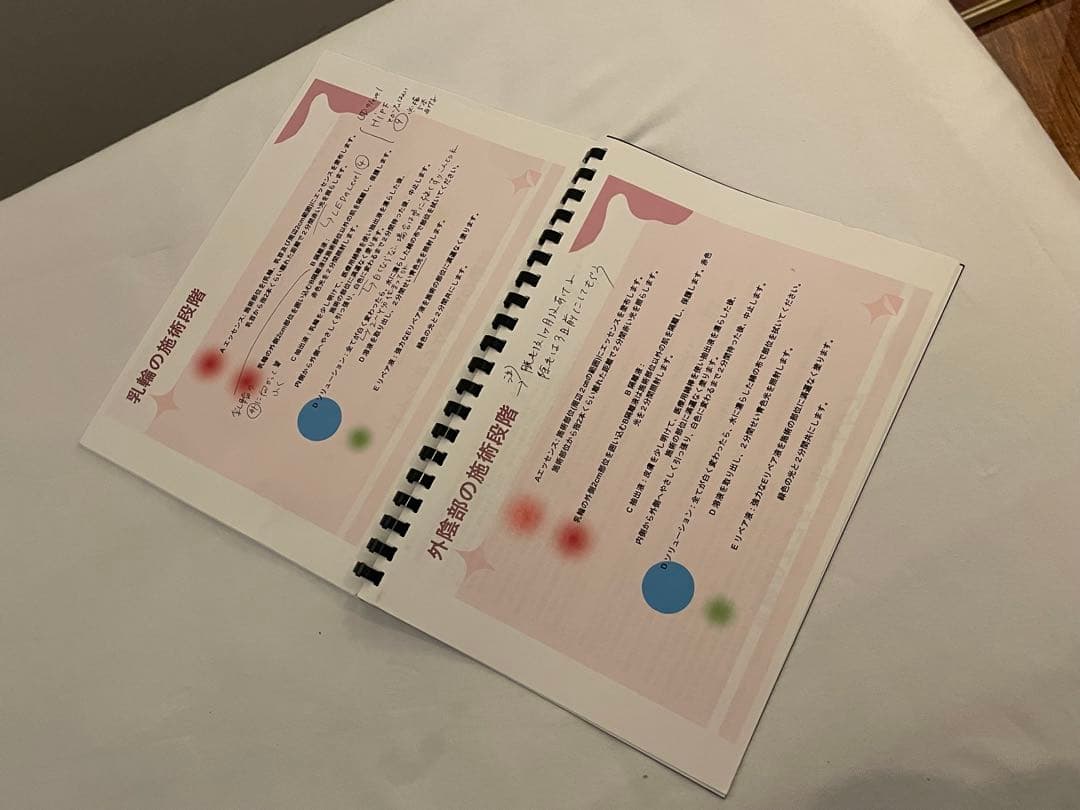 【業務品】Roma Park ボディ用メラニンケアLEDマシーン