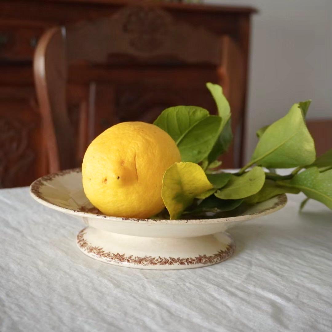 Choisy le Roi ショワジー ル ロワ 果実柄コンポティエ