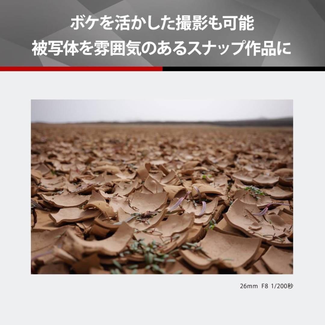 パナソニック(Panasonic) 単焦点 レンズ フルサイズ ミラーレス一眼