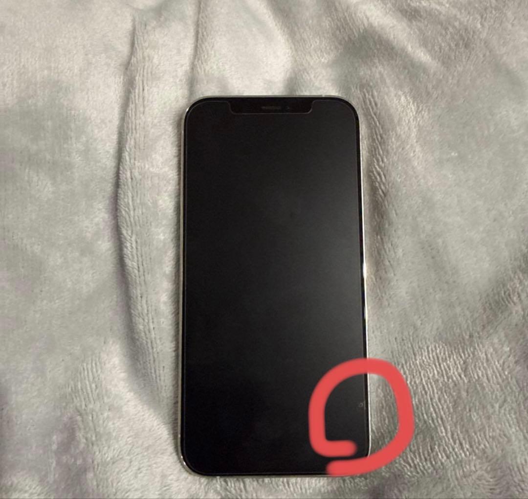 Apple iPhone 12 Pro 本体