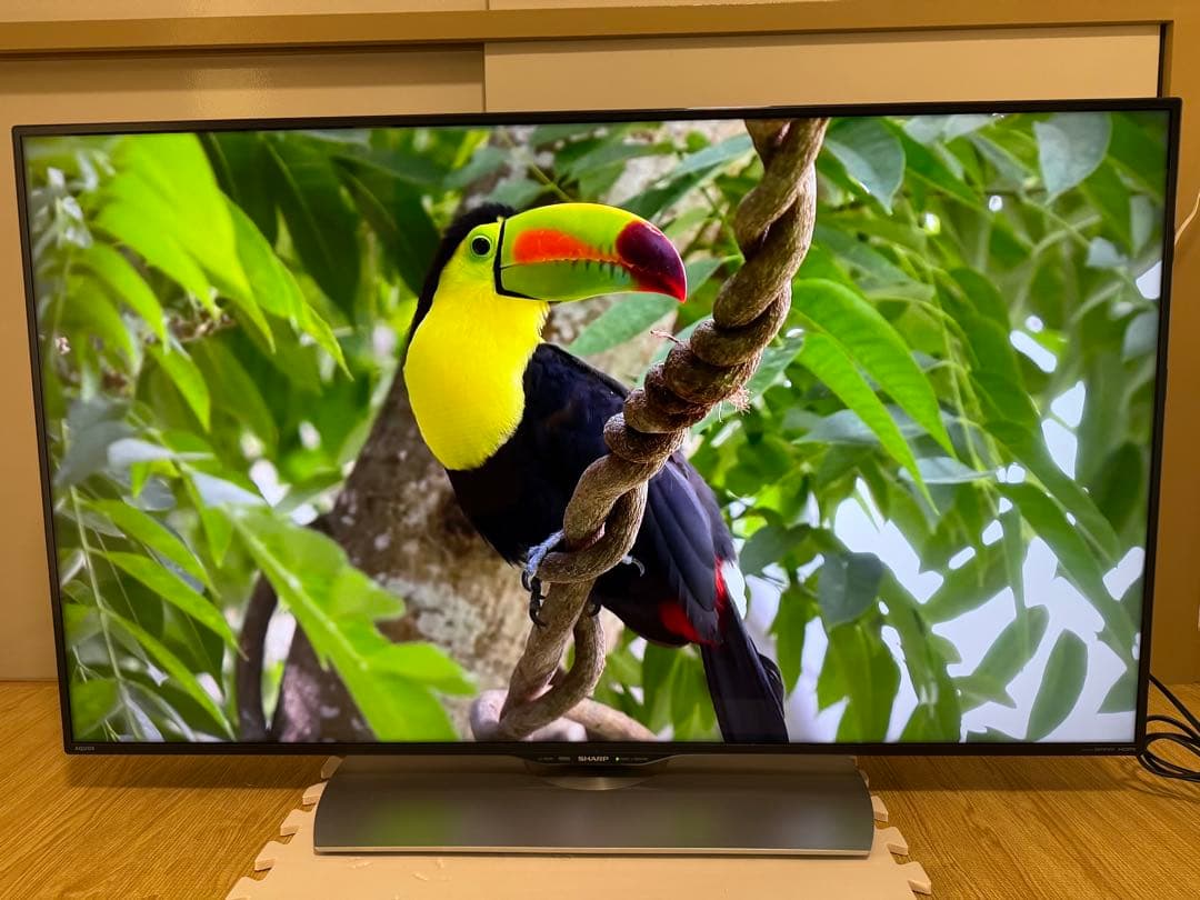 シャープ LC-50U40 50型 2016年製⭕️ 4K液晶ネットサ可能テレビ