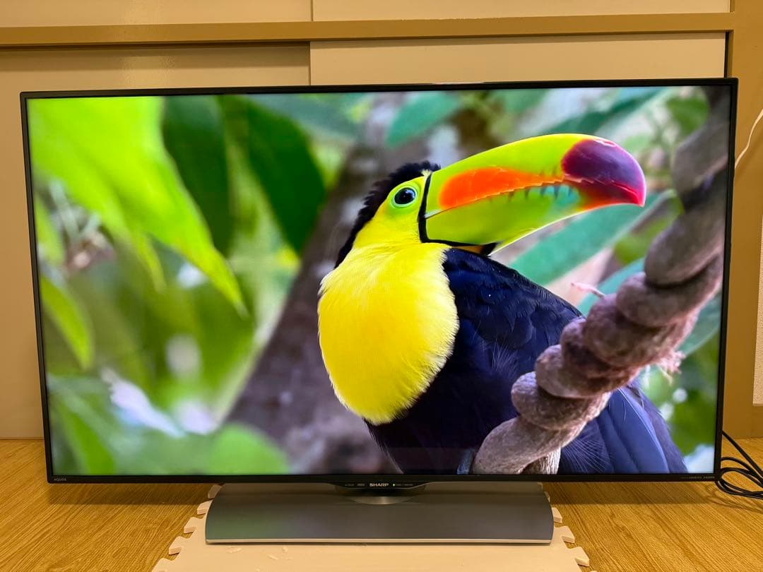 シャープ LC-50U40 50型 2016年製⭕️ 4K液晶ネットサ可能テレビ