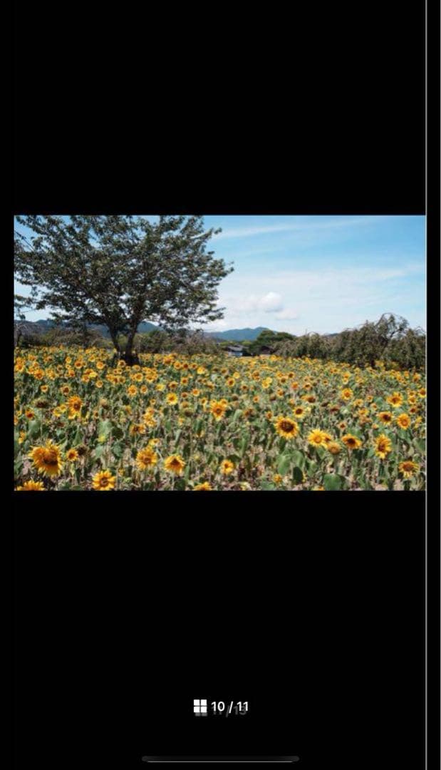 【極美品】動作◎ キャノン FD 28mm F2.8 S.C 74150