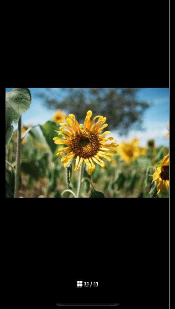 【極美品】動作◎ キャノン FD 28mm F2.8 S.C 74150