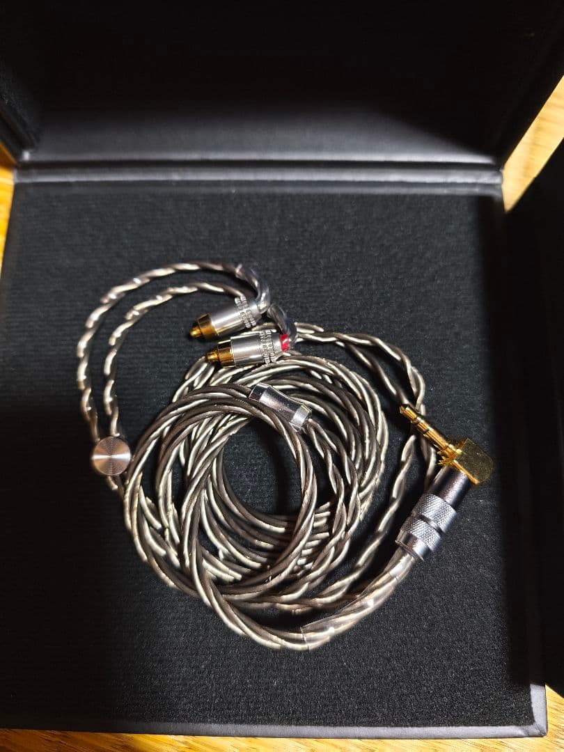 【極美品】SONY IER-Z1R