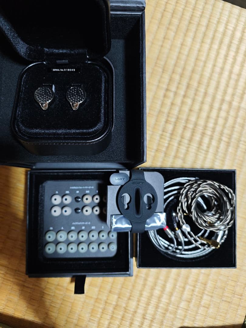 【極美品】SONY IER-Z1R