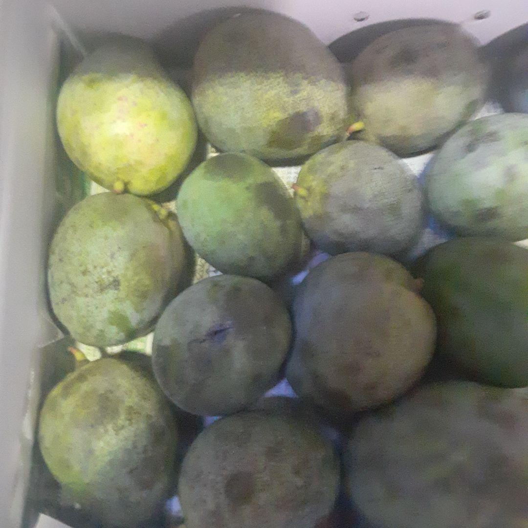 沖縄県産♪キーツマンゴー6㎏①