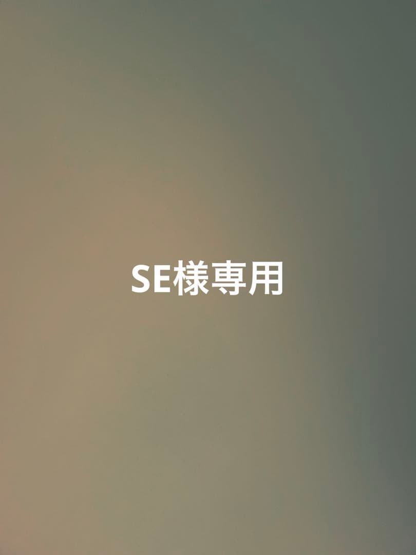 その他 SE