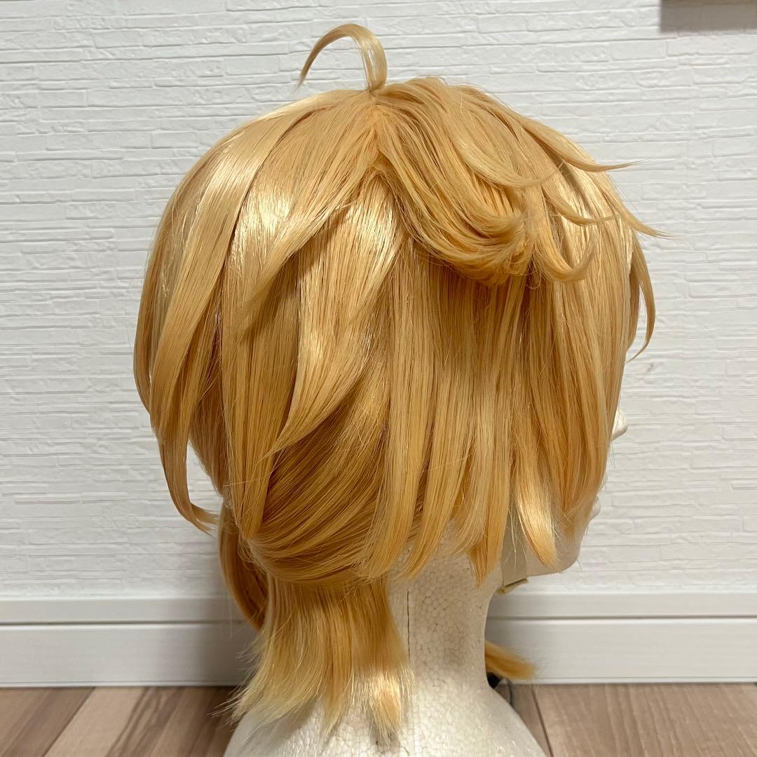 伏見ガク コスプレ ウィッグ