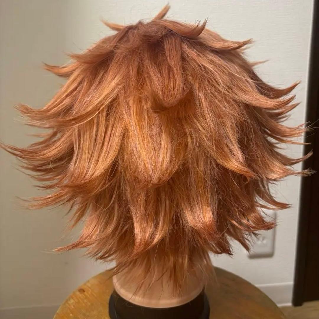 【セット済】エース・トラッポラ コスプレ ウィッグ