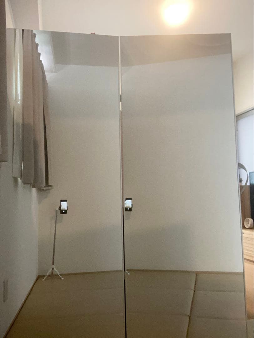 大きめ二面鏡スタンドミラー 収納カバー付き