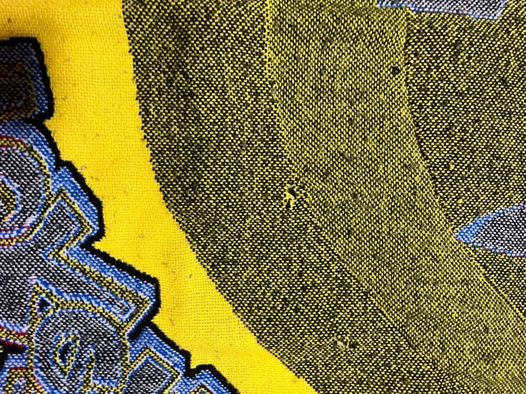 希少！アメリカ雑貨 ラグ ポケットモンスター ポケモン ピカチュウ なみのり