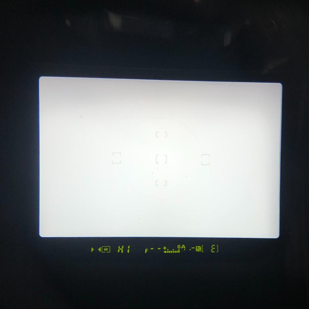 【C6766】NIKON ニコン F100 ボディのみ 一眼レフ フィルムカメラ