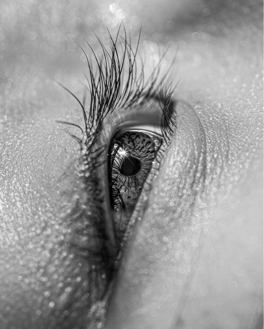 フォクトレンダー Macro Apo-Lanthar 65 mm F2 作例あり