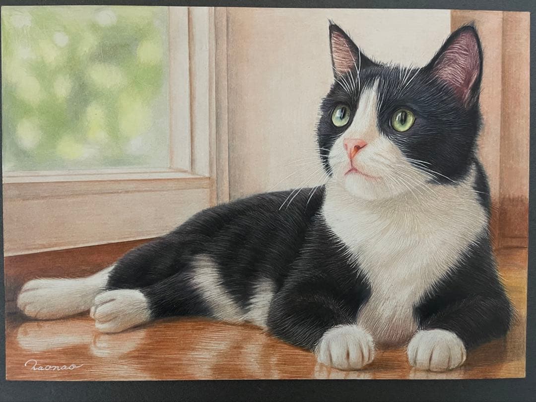 色鉛筆画 A4 ハチワレ猫128