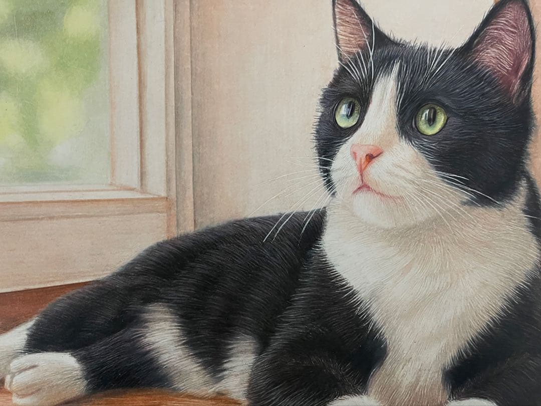 色鉛筆画 A4 ハチワレ猫128