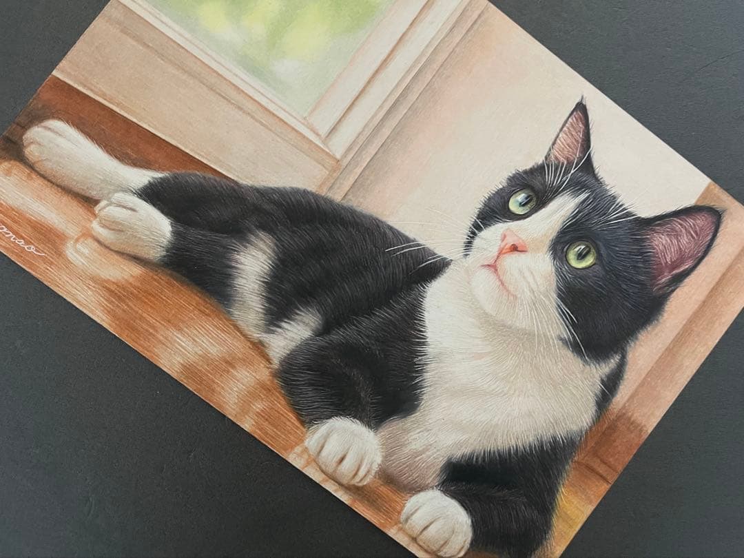 色鉛筆画 A4 ハチワレ猫128