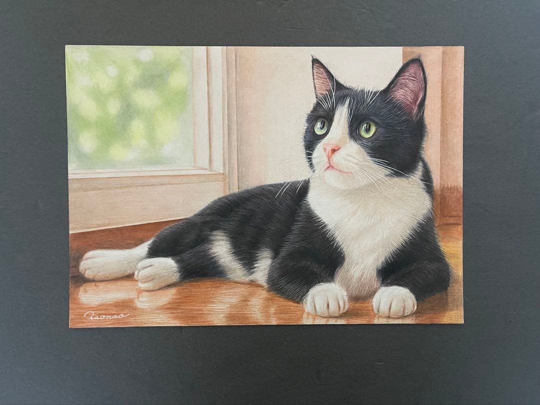 色鉛筆画 A4 ハチワレ猫128