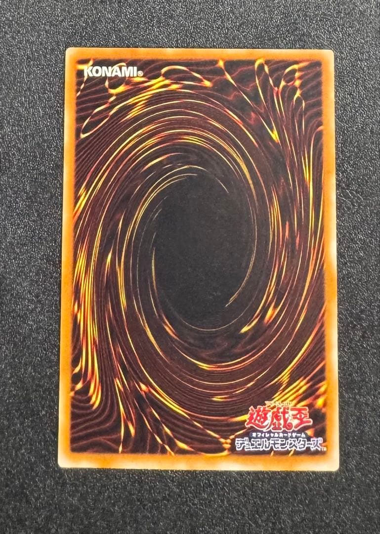 超魔導剣士ブラックパラディン/魔法使い族/ 遊戯王カード/レリーフ