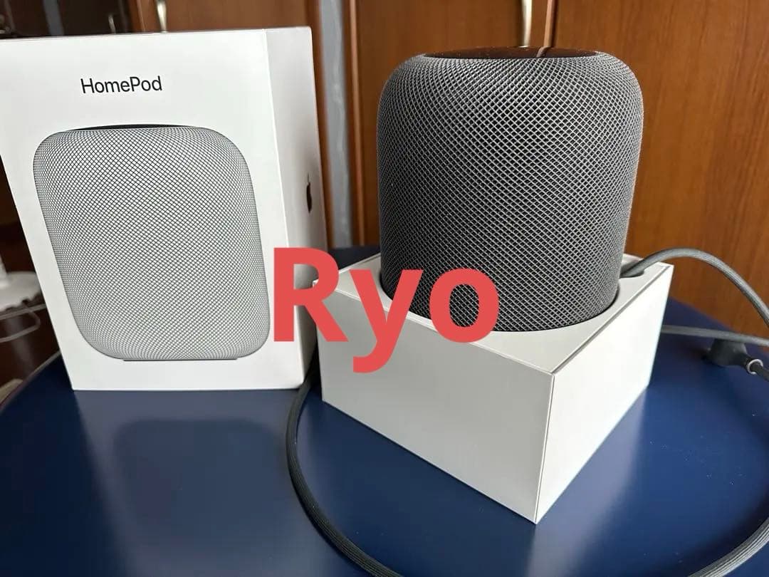 Ryo Apple Pod スペースグレー 本体 第1世代