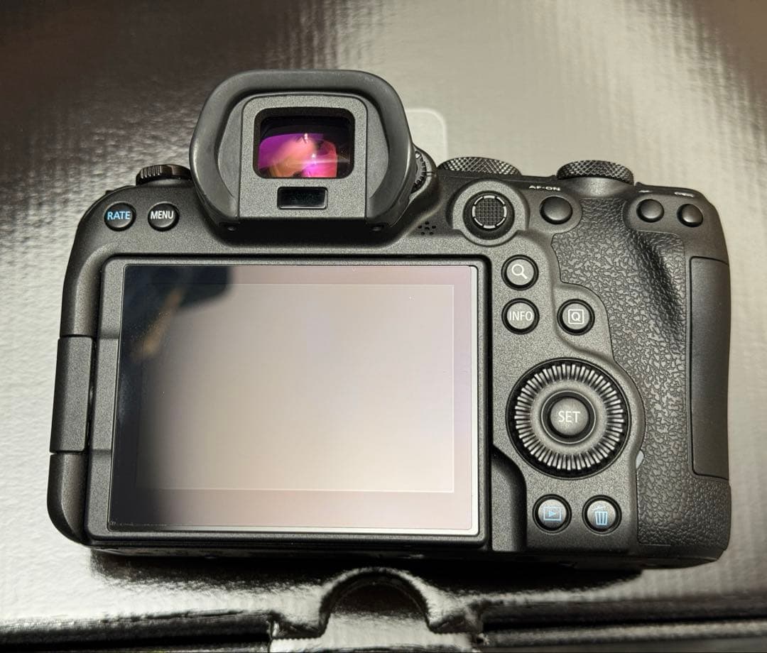 Canon EOS R6 ミラーレスカメラ 付属品完備