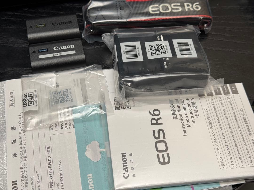 Canon EOS R6 ミラーレスカメラ 付属品完備
