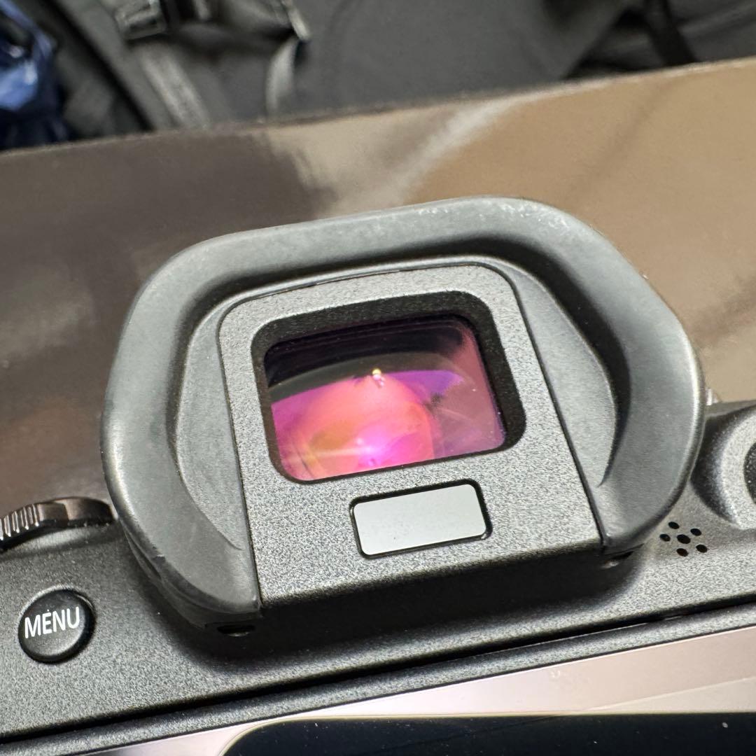 Canon EOS R6 ミラーレスカメラ 付属品完備