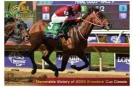 競馬　JRA　フォーエバーヤング　キャップ　UMACA シール　他　セット