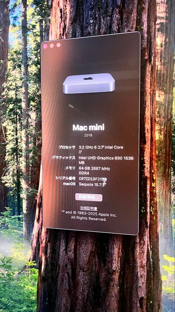 Macデスクトップ Apple Mac mini SSD 2TB