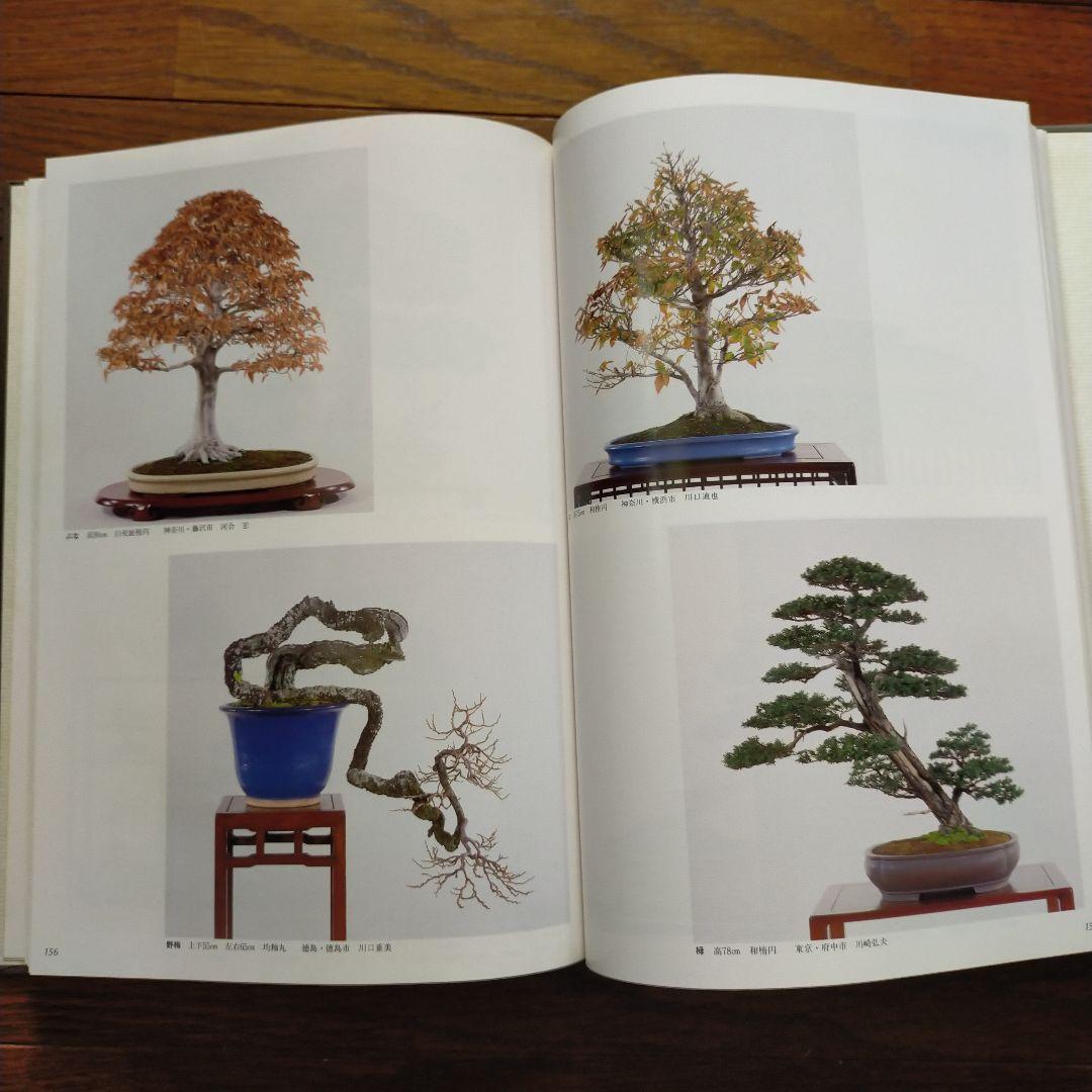 日本盆栽大観展