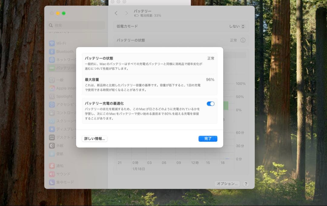 超美品　使用 MacBook Pro シルバー Apple Care 付き