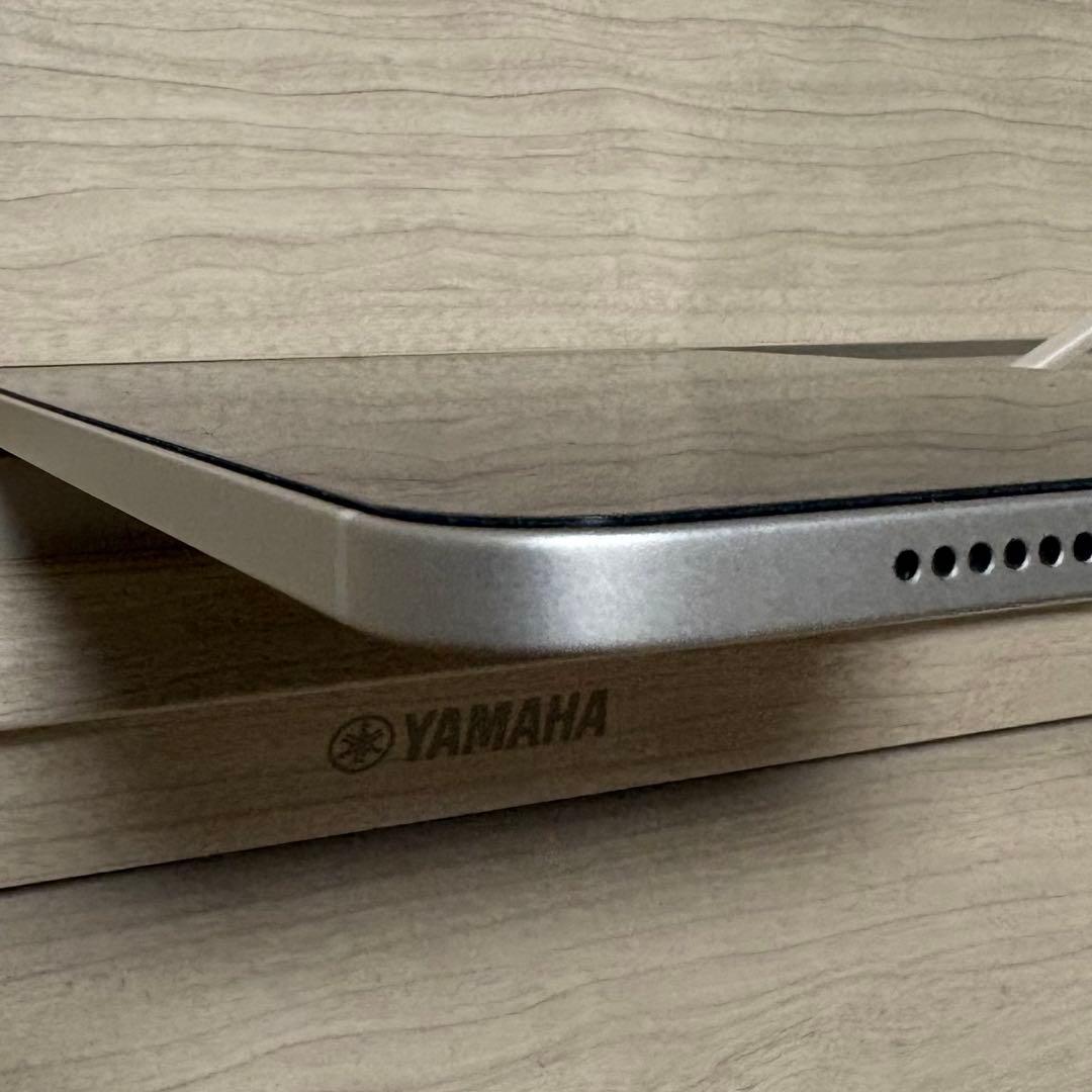 Apple iPad mini第6世代　64GB セルラーモデル