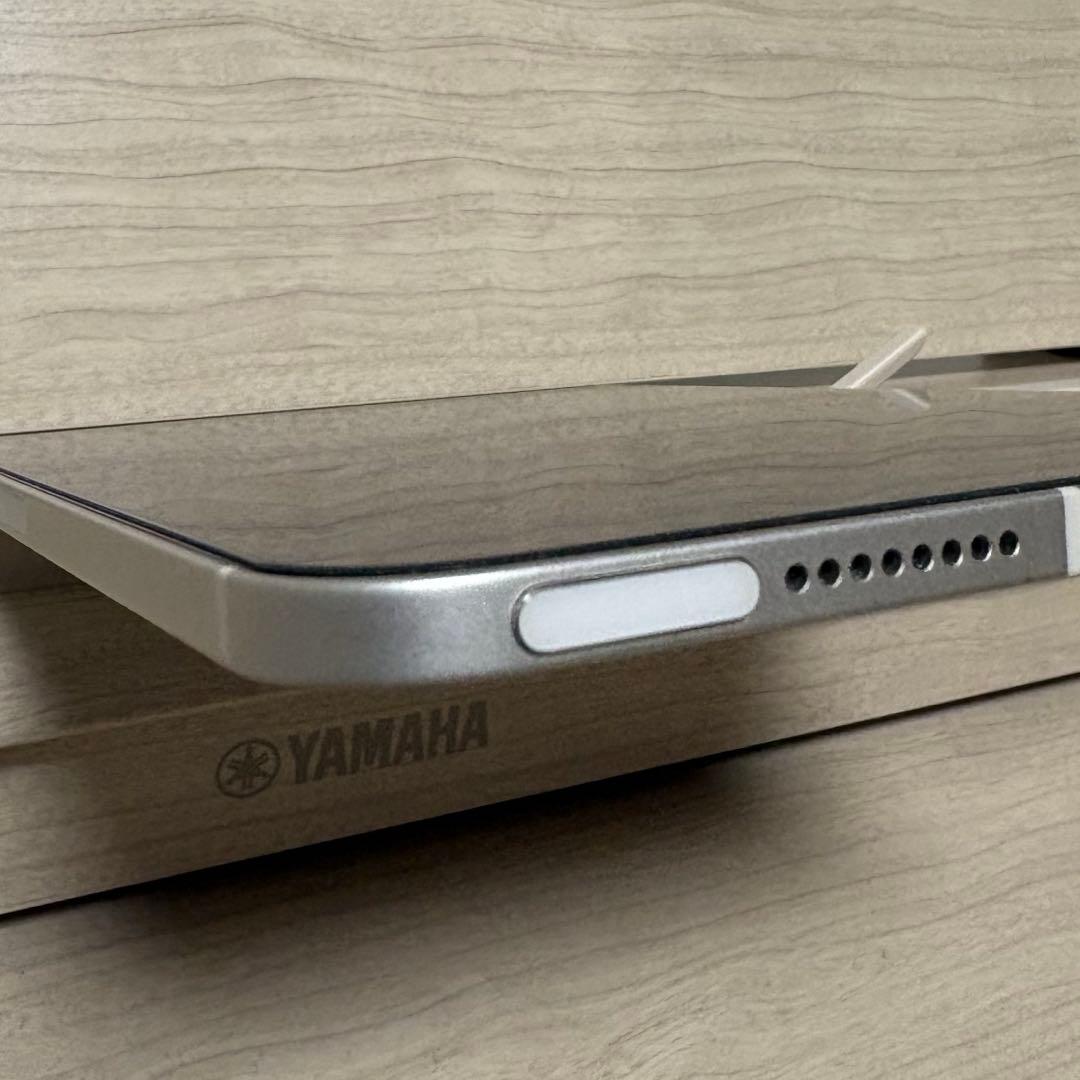 Apple iPad mini第6世代　64GB セルラーモデル