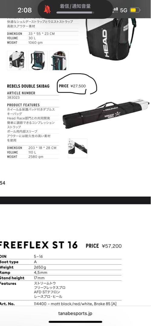 たけのこさん専用　HEAD スキーバッグ2台用(24-25)