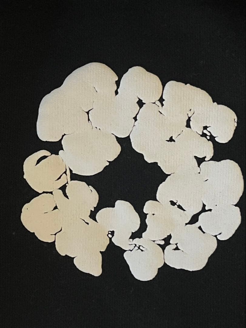 デニムティアーズ　ハーフパンツ